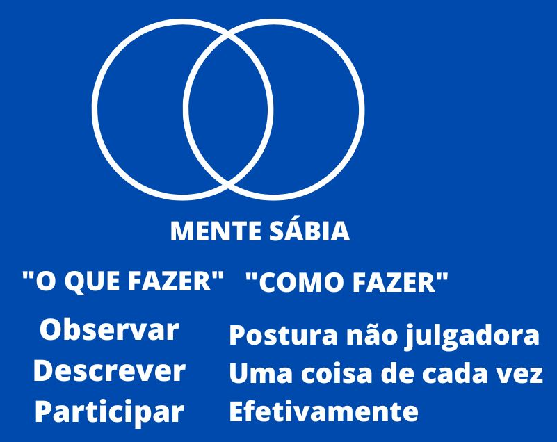 Aula de Inglês 36 - Com que frequência você faz as coisas? 